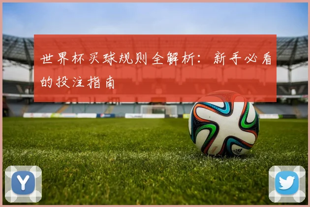 世界杯买球规则全解析：新手必看的投注指南