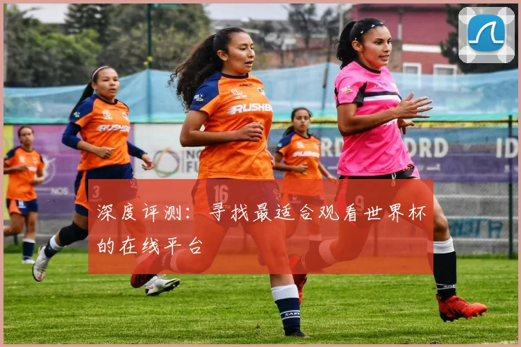 深度评测：寻找最适合观看世界杯的在线平台