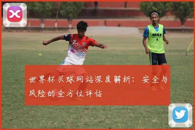 世界杯买球网站深度解析：安全与风险的全方位评估